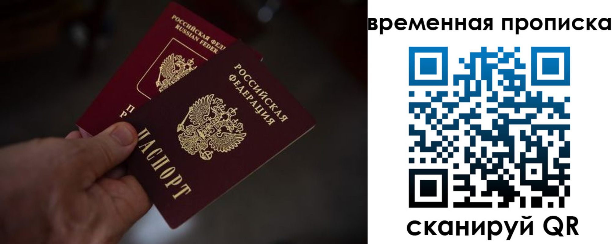 прописка в Павловске